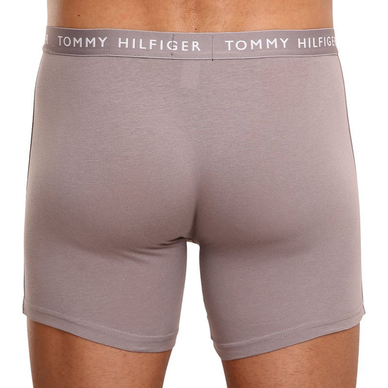 3PACK pánské boxerky Tommy Hilfiger vícebarevné (UM0UM02204 0TG) XL, trenky / trenýrky.
Parádní boxerky Tommy Hilfiger potěší jak sportovce tak elegány.
Materiál s měkkými lemy perfektně sedí na těle. Boxerky mají extra dlouhou nohavičku, která zajišťuje pohodlí a stehna se vám tak nebudou při chůzi dřít.
Více se dozvíš v klasických informacích o produktu.