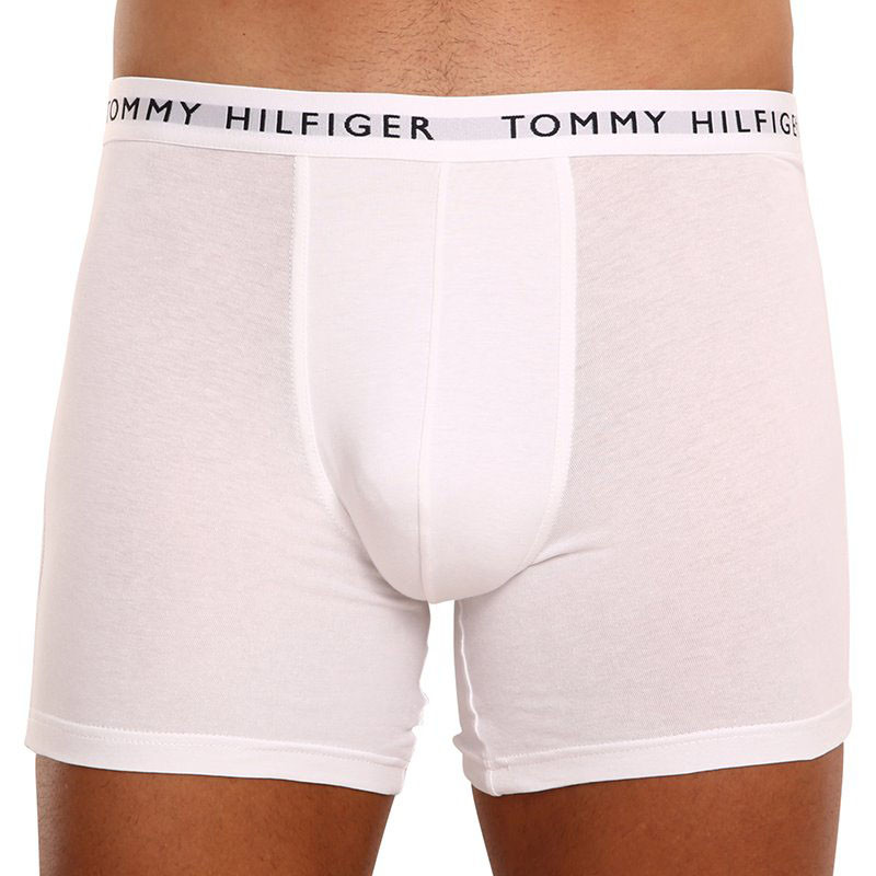 3PACK pánské boxerky Tommy Hilfiger vícebarevné (UM0UM02204 0TG) XL, trenky / trenýrky.
Parádní boxerky Tommy Hilfiger potěší jak sportovce tak elegány.
Materiál s měkkými lemy perfektně sedí na těle. Boxerky mají extra dlouhou nohavičku, která zajišťuje pohodlí a stehna se vám tak nebudou při chůzi dřít.
Více se dozvíš v klasických informacích o produktu.