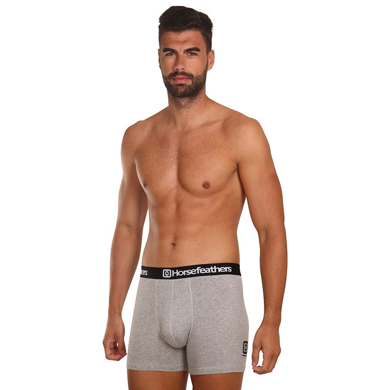 3PACK pánské boxerky Horsefeathers Dynasty heather gray (AM067C) XXL, trenky / trenýrky.
Pro boxerkomily tu máme jednu lahůdku od české značky Horsefeathers.