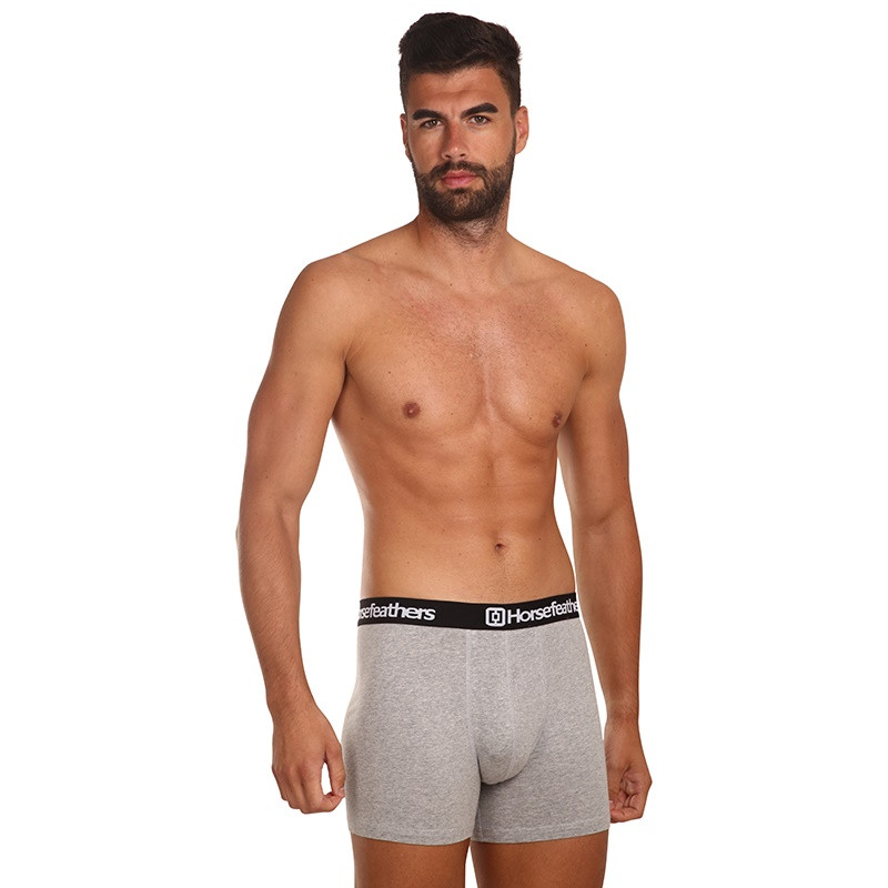 3PACK pánské boxerky Horsefeathers Dynasty heather gray (AM067C) XXL, trenky / trenýrky.
Pro boxerkomily tu máme jednu lahůdku od české značky Horsefeathers.