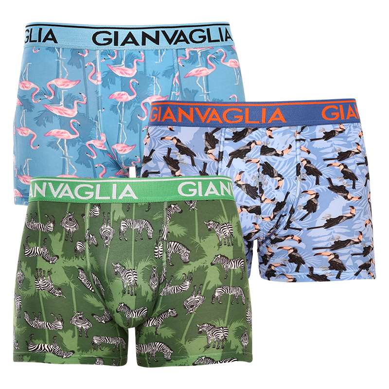 3PACK pánské boxerky Gianvaglia vícebarevné (GVG-5501) L, trenky / trenýrky