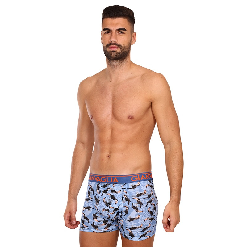 3PACK pánské boxerky Gianvaglia vícebarevné (GVG-5501) XL, trenky / trenýrky.
Hledáte kvalitní, ale zároveň cenově dostupné boxerky?
          
Boxerky Gianvaglia jsou vyrobeny z příjemného materiálu, mají moderní střih, který perfektně padne na každodenní nošení.