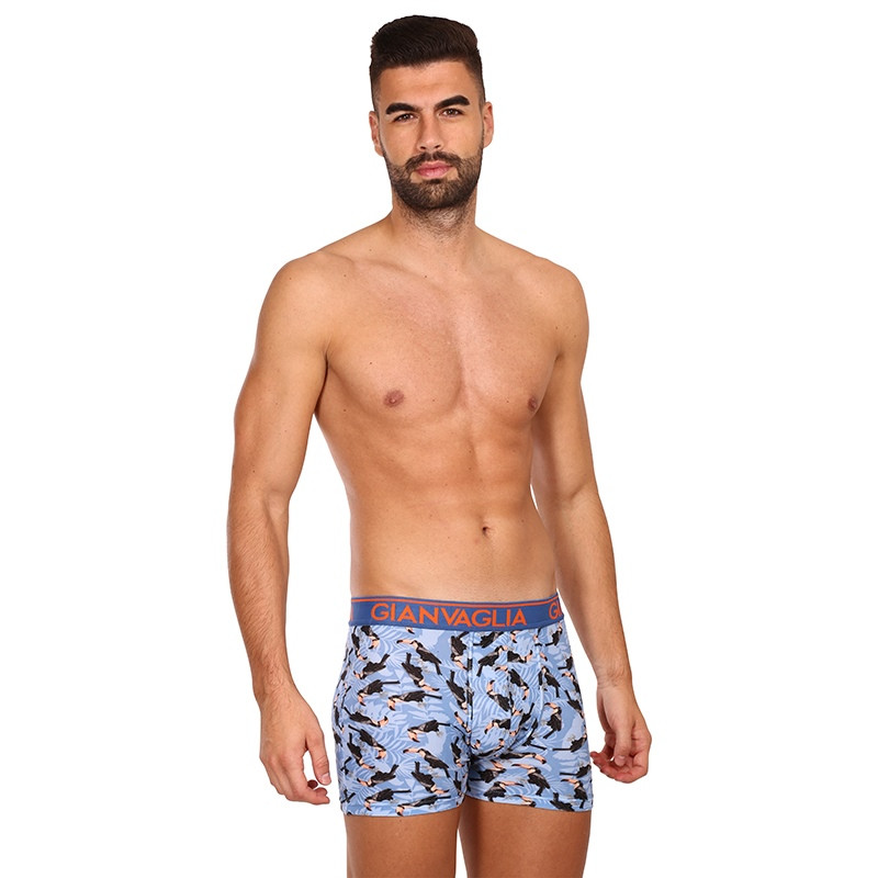 3PACK pánské boxerky Gianvaglia vícebarevné (GVG-5501) XL, trenky / trenýrky.
Hledáte kvalitní, ale zároveň cenově dostupné boxerky?
          
Boxerky Gianvaglia jsou vyrobeny z příjemného materiálu, mají moderní střih, který perfektně padne na každodenní nošení.