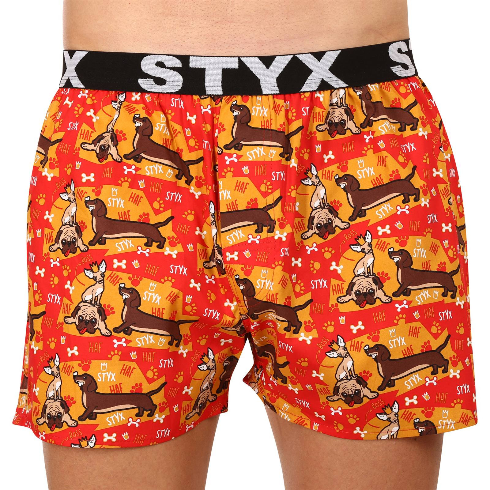 5PACK pánské trenky Styx art sportovní guma vícebarevné (5B1455648) M, trenýrky.
Barevné bavlněné trenky pro každodenní pohodlí
Pánské trenýrky Styx jsou vyrobeny ze 100% bavlny.
Česká značka Styx nabízí zábavu i prvotřídní kvalitu
Spodní prádlo Styx si oblíbí zejména ti, pro které je důležitá osobitost.