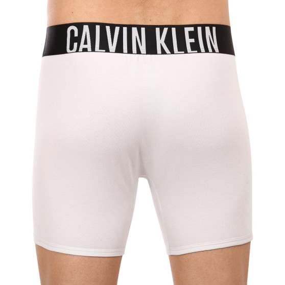 2PACK pánské boxerky Calvin Klein vícebarevné (NB2603A-C2D)
