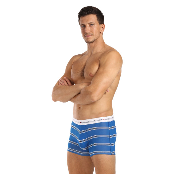 3PACK pánské boxerky Tommy Hilfiger vícebarevné (UM0UM02768 0UG)