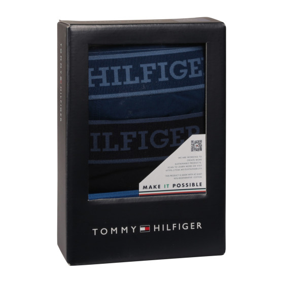 3PACK pánské boxerky Tommy Hilfiger vícebarevné (UM0UM03413 0XW)