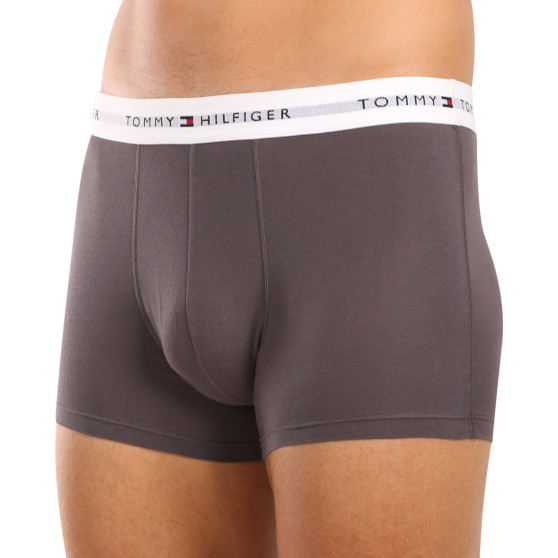 3PACK pánské boxerky Tommy Hilfiger vícebarevné (UM0UM02761 0UI)