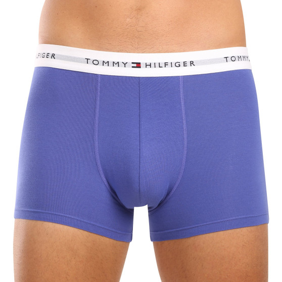 3PACK pánské boxerky Tommy Hilfiger vícebarevné (UM0UM02761 0UI)