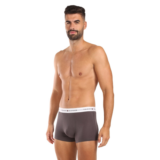 3PACK pánské boxerky Tommy Hilfiger vícebarevné (UM0UM02761 0UI)