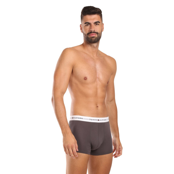 3PACK pánské boxerky Tommy Hilfiger vícebarevné (UM0UM02761 0UI)