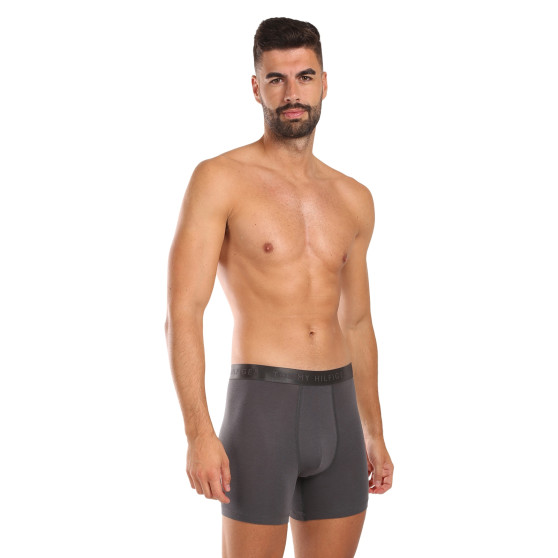 3PACK pánské boxerky Tommy Hilfiger vícebarevné (UM0UM03393 0XX)