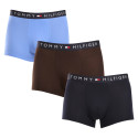 3PACK pánské boxerky Tommy Hilfiger vícebarevné (UM0UM03180 0X0)