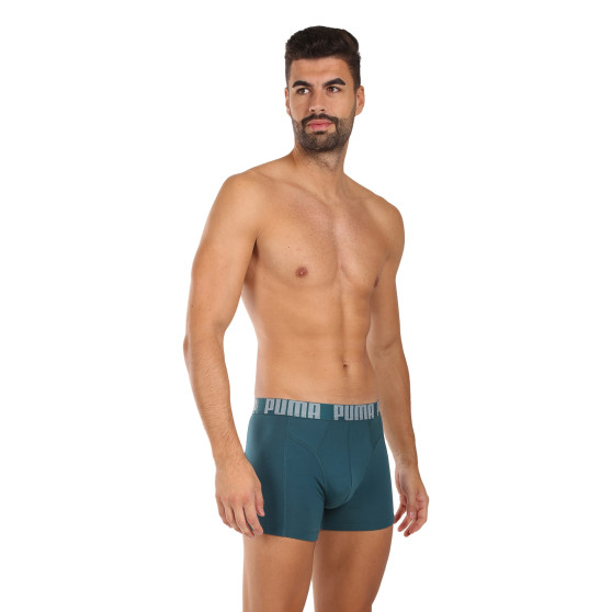 2PACK pánské boxerky Puma vícebarevné (701228129 002)